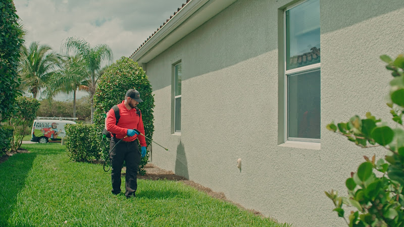 All U Need Pest Control Cape Coral in Geraldton